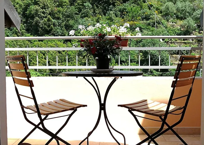 L'albicocco * Дольчеаккуа